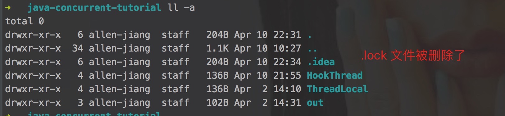 .lock 文件被删除了